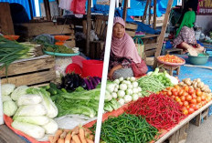 Harga Cabai Naik Lagi di Pasar Panorama Bengkulu