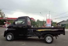 Banyak Peminat, Harga Mobil Daihatsu Granmax Pick up Seken di Provinsi Bengkulu
