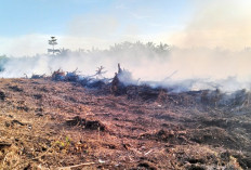 Breaking News, Lahan Gambut di Desa Kota Praja Mukomuko Terbakar, Cuma 10 Meter dari Rumah Warga