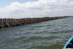 Pembongkaran Pagar Laut di Pesisir Tangerang Dilanjutkan