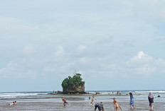 Pesona Wisata Pantai Way Hawang Kaur Masih Memikat Kedatangan Pengunjung