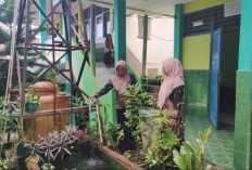 Mantapkan Status Madrasah Sehat