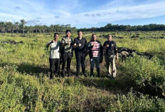 Dukung Swasembada Pangan, Polres Seluma Cek Lahan Tumpang Sari