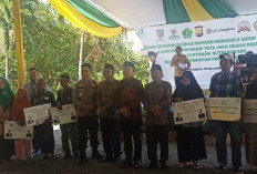 Gubernur Rohidin Minta Laporan Terperinci Penyaluran Bantuan Baznas Provinsi Bengkulu 