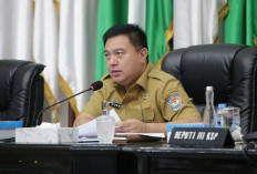 Kemendagri Sederhanakan Perizinan Berusaha di Daerah