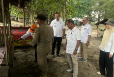 Deadline Berakhir, Pemkot Bongkar Lapak Pedagang Pantai Panjang yang Tidak Patuh