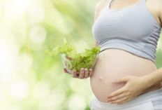 6 Manfaat Mengonsumsi Kangkung Selama Kehamilan: Nutrisi Penting untuk Ibu dan Janin