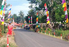 'Menyala', Kemeriahan Hari Kemerdekaan RI ke-79 di RT-1 Desa Kota Praja