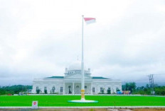 Lapangan Rumput Sintetis Gedung Merah Putih Jadi Tempat Wisata Baru Warga Kota Bengkulu