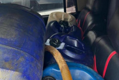 Berulah Lagi, Penimbun Solar Ditangkap