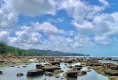 Pantai Aulia Dumai, Tempat Wisata Dengan Pemandangan Yang Indah di Teluk Makmur, Ada Ayunan Bawah Pohon 