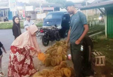 Menumpuk, Pengepul Jadikan Durian Tempoyak dan Lempuk