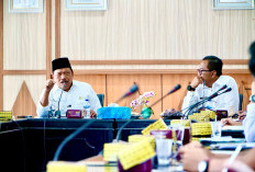 Pemprov Bengkulu Sisir Seluruh HGU Perkebunan, Satgasus PAD Bergerak