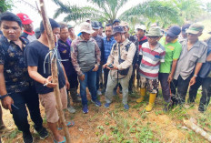 Melewati Area Ektrem, Gusnan Tinjau Lokasi Tapal Batas Wilayah BS-Kaur