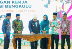 Loker Merah Putih, Terobosan Digital Pemprov Bengkulu untuk Pencari Kerja