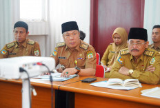 Evaluasi Kinerja ASN Bengkulu, Efisiensi dan Profesionalisme jadi Sorotan Utama