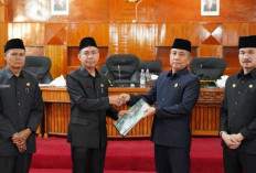 LKPj Bupati Bengkulu Selatan Tuai Kritikan