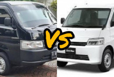 Camper Van vs SUV : Mana yang Lebih Cocok untuk Liburan di Alam Terbuka?