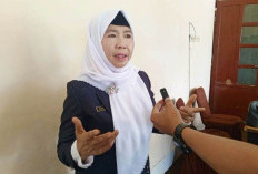 Festival Gurita dan Lomba Surfing Rencananya Digelar Pemda Kaur Bulan Juni