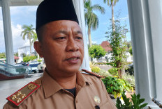  Sudah Siap, BKD Belum Terima Regulasi Soal Seleksi CASN di Provinsi Bengkulu 
