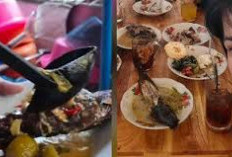 Yuk Cobain Penyetan Koh Awe, Kuliner Lezat dan Nikmat di Harapan Indah yang Menawarkan Harga Terjangkau