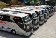 Organda Tetapkan Tarif Angkutan Lebaran di Bengkulu, Berlaku Mulai 3 April 2024