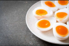 Makan Telur Setiap Hari Tingkatkan Kolesterol, Benarkah?