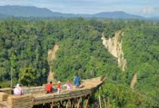 Instagramable banget! 5 Tempat Wisata di Bukittinggi ini wajib dikunjungi tahun 2025