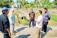 DPMPTSP Lakukan Visitasi Bersama BI Terkait Pabrik Pakan