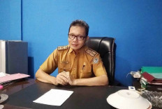 Dinas BKPSDM Kabupaten Kaur, Pengumuman PPPK Gelombang Pertama Masih Menunggu Petunjuk