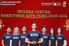 KPU Kaur Rekrutmen KPPS Pemilihan 2024, Berikut Jumlah yang Dibutuhkan