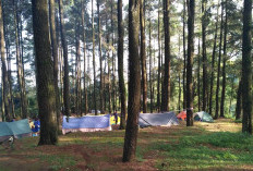 Cerita Horor Perkemahan yang Mengerikan