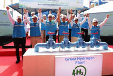 PT PLN  Resmikan 21 Unit Green Hydrogen Plant Mampu Produksi Hingga 199 Ton Hidrogen per Tahun