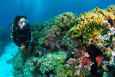 Yuk Kunjungi 5 Tempat Wisata di Sulawesi Tenggara, Cocok Banget buat Healing