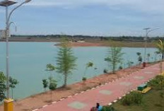 Indahnya Danau Seruo Tanjung Senai: Tempat Wisata Ogan Ilir yang asri, Cocok buat menenangkan pikiran