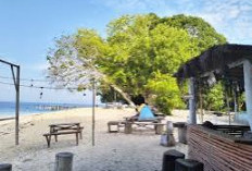 Wisata Pulau Paniki Desa Loleolamo Maluku Utara Selalu Ramai Dikunjungi Wisatawan