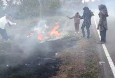 Viral, Aksi Emak-Emak Padamkan Api yang Nyaris Melalap Aspal Jalan Nasional 