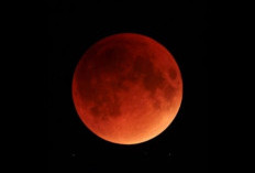 Begini Cara Memotret Gerhana Bulan Tanpa Ribet, Hasil Tetap Estetik