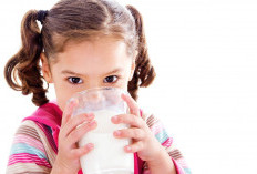 Jangan Anggap Sepele, Ini 5 Manfaat Minum Susu Setiap Hari Yang Banyak Mengandung Vitamin A dan B12