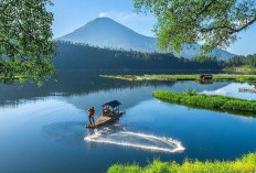  5 Rekomendasi Tempat Wisata di Wonosobo, Ada Bukit Sekunir Hingga Danau yang Jernih