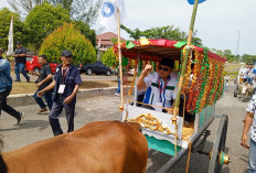 Calon Bupati Herlian Muchrim-Noprizal Jandra Mendaftar ke KPU Kaur Naik Plangkin Simbol Kerakyatan