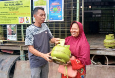 Ini Dia Fatwa MUI Tentang Orang Kaya  Pakai LPG 3 Kg