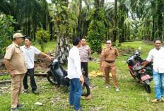 Pemdes Talang Padang Survey Lokasi Bakal Pembangunan 2025