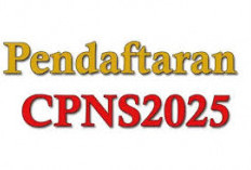 Catat! Berikut Ini 15 Instansi yang Diprediksi akan Buka Formasi Pada Seleksi CPNS Tahun 2025, Salah Satunya a