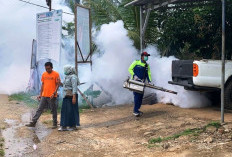 Waspada DBD, Dinkes Bengkulu Selatan Lakukan Foging