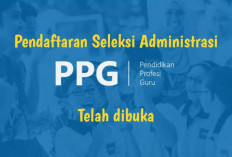 Jangan Khawatir! Cukup Lakukan 4 Cara Ini Jika Muncul Tanda Silang Merah yang Menghambat Tahap Seleksi PPG 