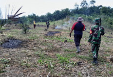 Dukung Ketahanan Pangan, Satgas TMMD Ke-124 Kodim 0408/BS Bersama Masyarakat Ciptakan Lahan Produktif