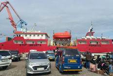 Dalam Hujan, Badai dan Kilat di Laut Bengkulu, Kapal Perintis Mendarat Dengan Selamat