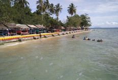 Liburan Makin Seru! Berikut 5 Tempat Wisata Pantai di Lampung 