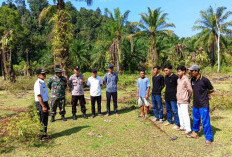 Titik Nol Ketahanan Pangan Desa Tanjung Ganti Tanam Jagung